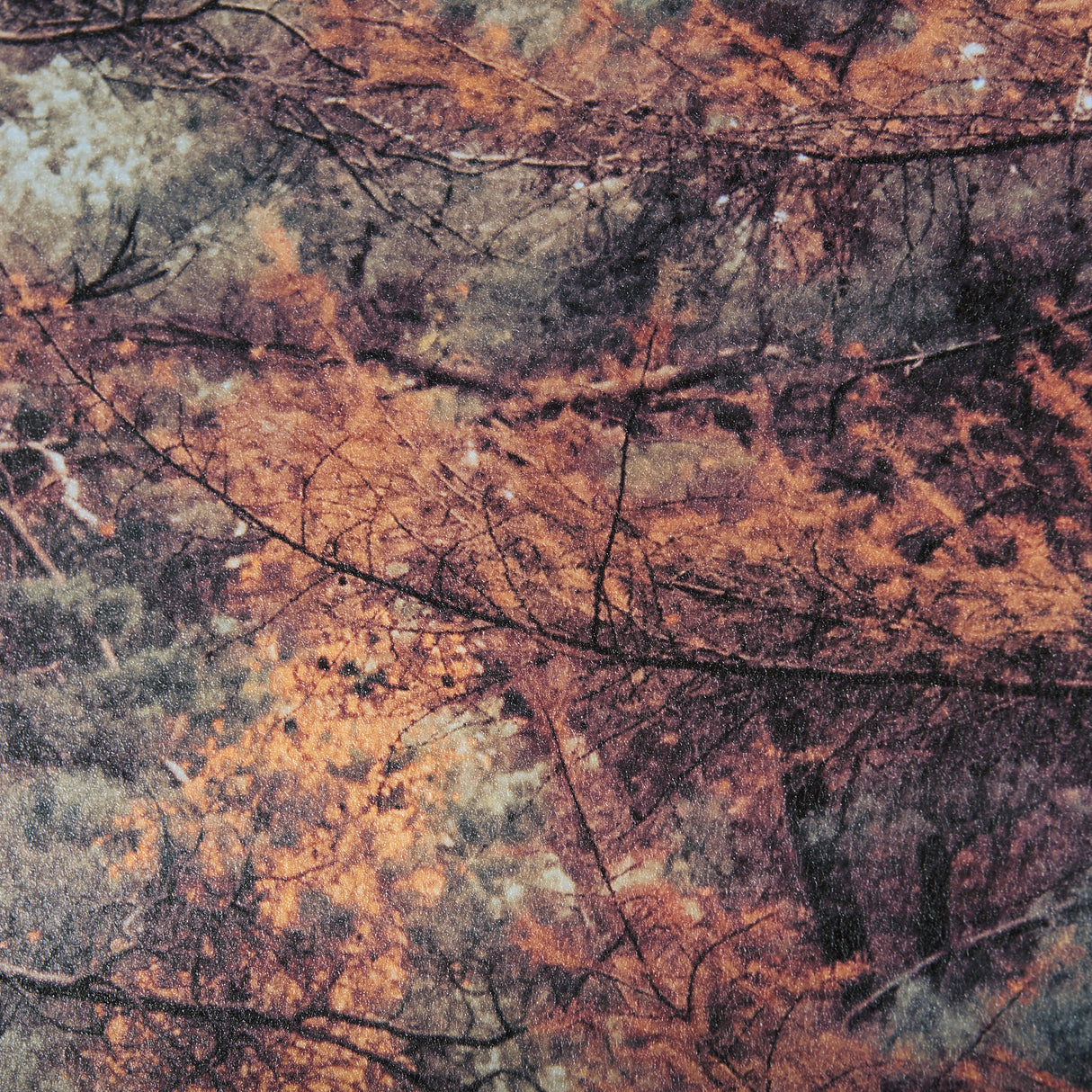 Forest Crossing by Mercana Studio a Hand Embellished Textured Framed Photo Art Print Matted under Gl from Mercana - Luna Furniture