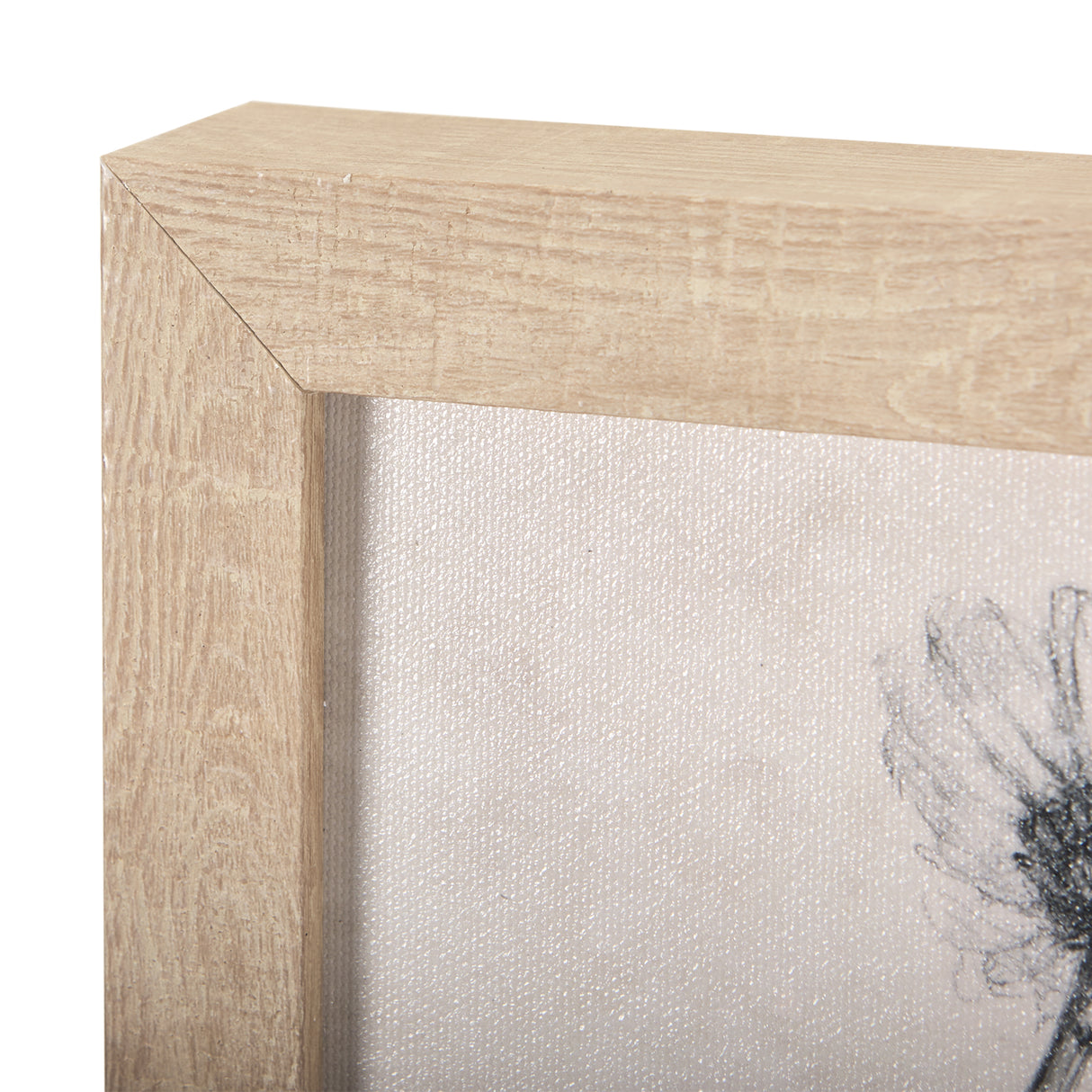 Chamomile Drawing I by Mercana Studio a Hand Embellished Textured Framed Art Print from Mercana - Luna Furniture
