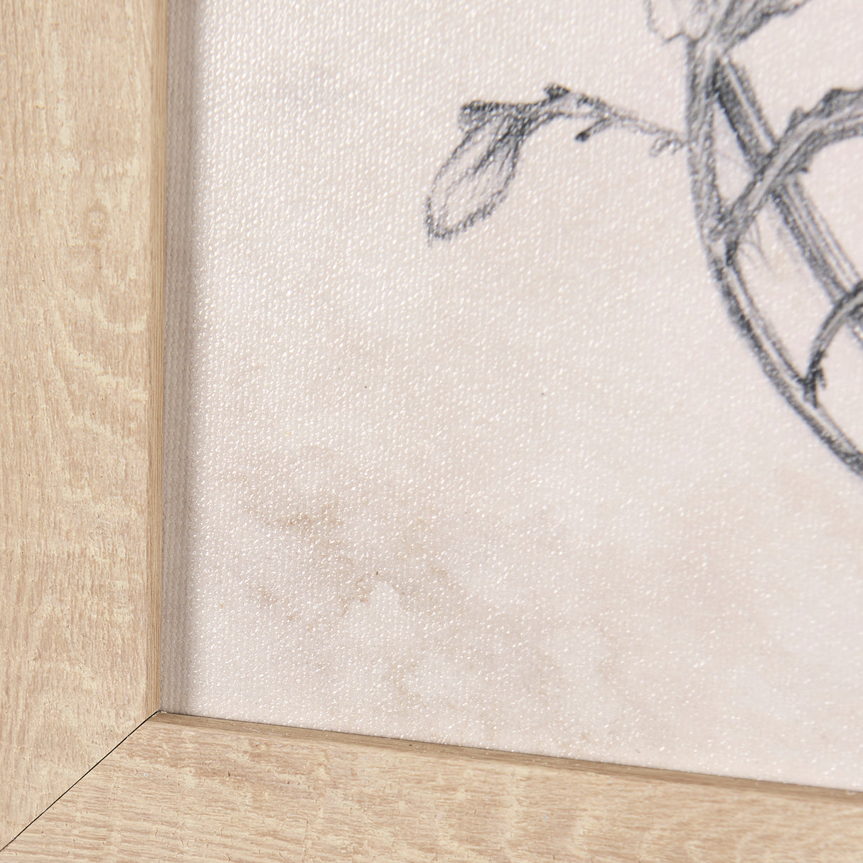 Chamomile Drawing I by Mercana Studio a Hand Embellished Textured Framed Art Print from Mercana - Luna Furniture