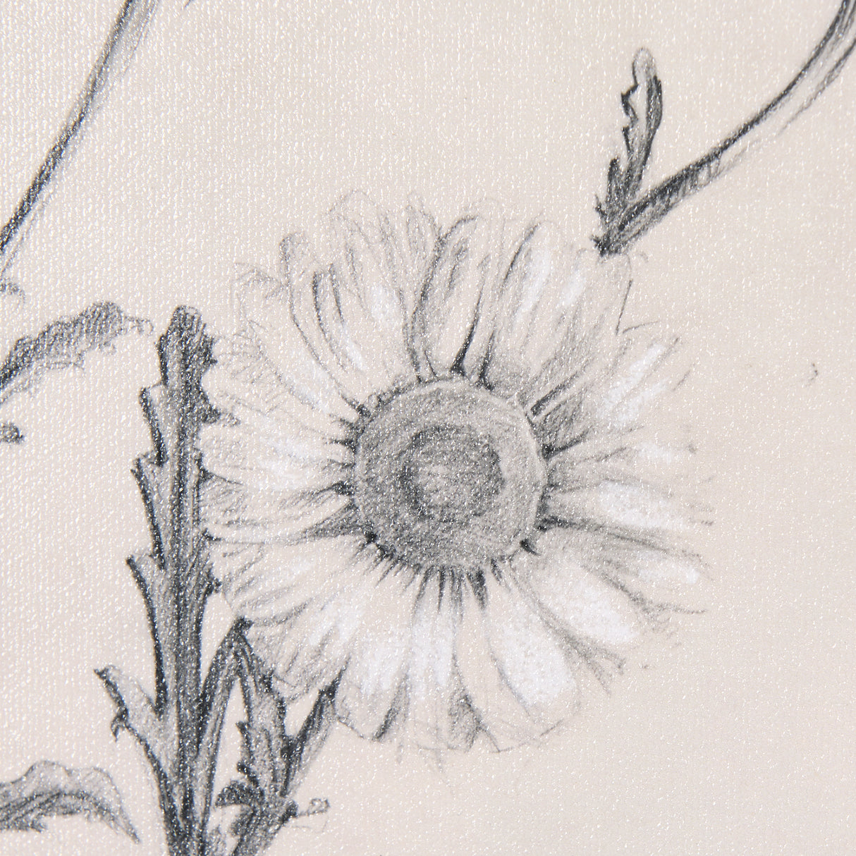 Chamomile Drawing I by Mercana Studio a Hand Embellished Textured Framed Art Print from Mercana - Luna Furniture
