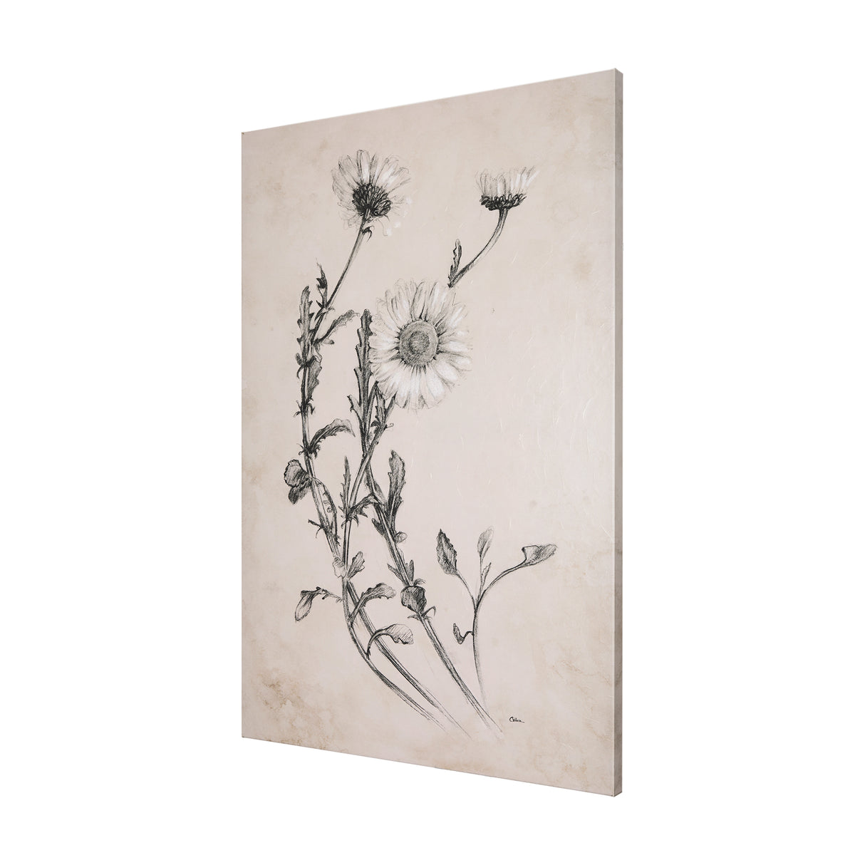 Chamomile Drawing I by Mercana Studio a Hand Embellished Textured Canvas from Mercana - Luna Furniture