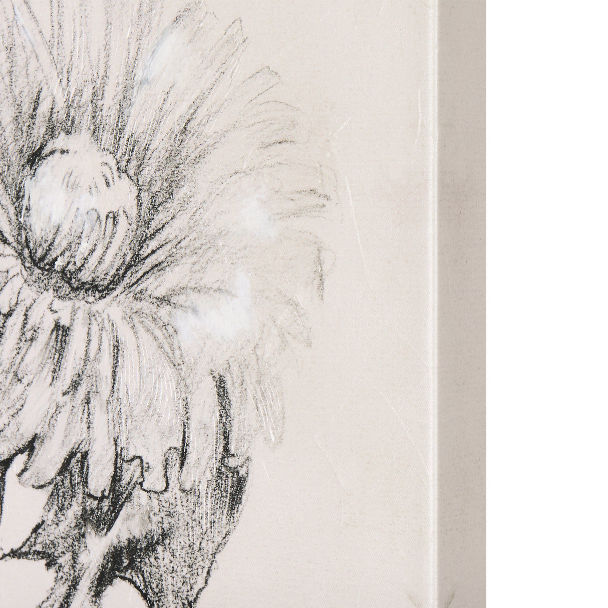 Dandelion Drawing II by Mercana Studio a Hand Embellished Textured Canvas from Mercana - Luna Furniture