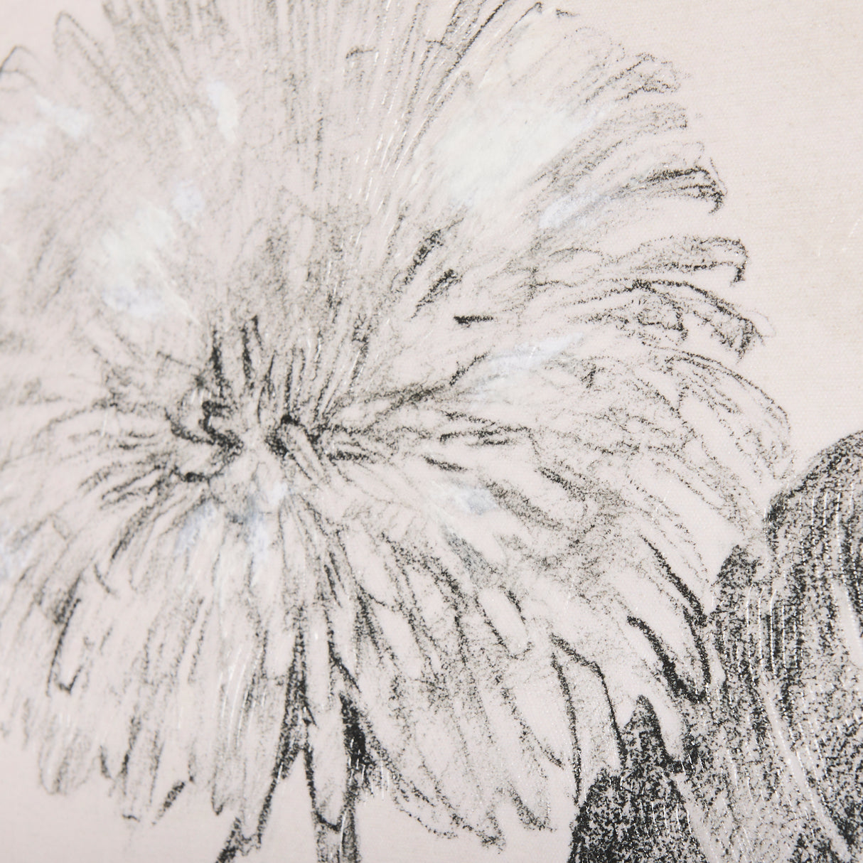 Dandelion Drawing II by Mercana Studio a Hand Embellished Textured Canvas from Mercana - Luna Furniture