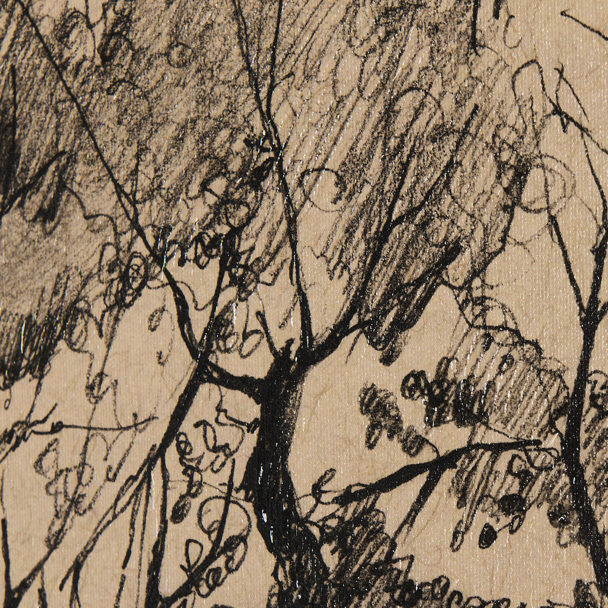 Tree Drawing I by Mercana Studio a Hand Embellished Textured Canvas from Mercana - Luna Furniture