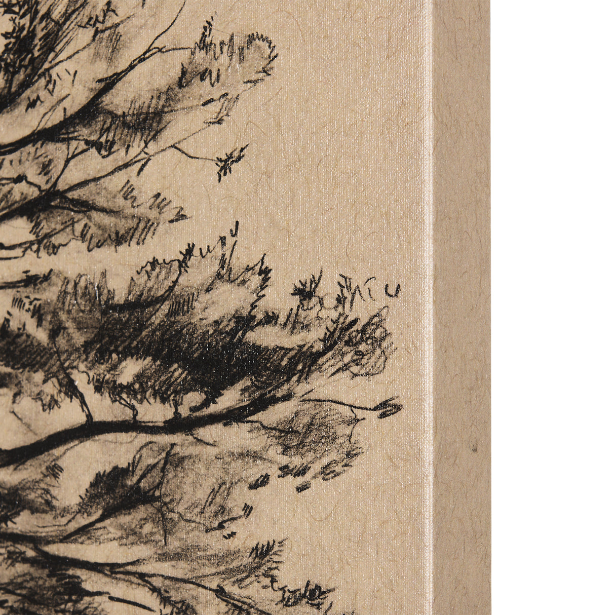 Tree Drawing III by Mercana Studio a Hand Embellished Textured Canvas from Mercana - Luna Furniture