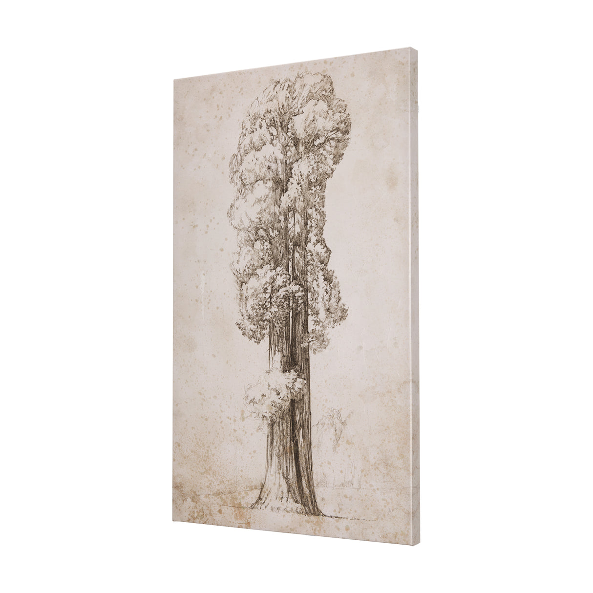 Westcoast Tree Drawing I by Mercana Studio a Hand Embellished Textured Canvas from Mercana - Luna Furniture