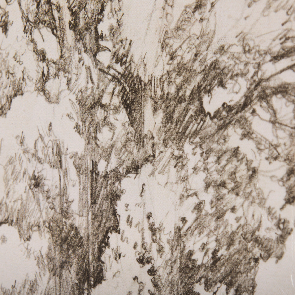 Westcoast Tree Drawing I by Mercana Studio a Hand Embellished Textured Canvas from Mercana - Luna Furniture