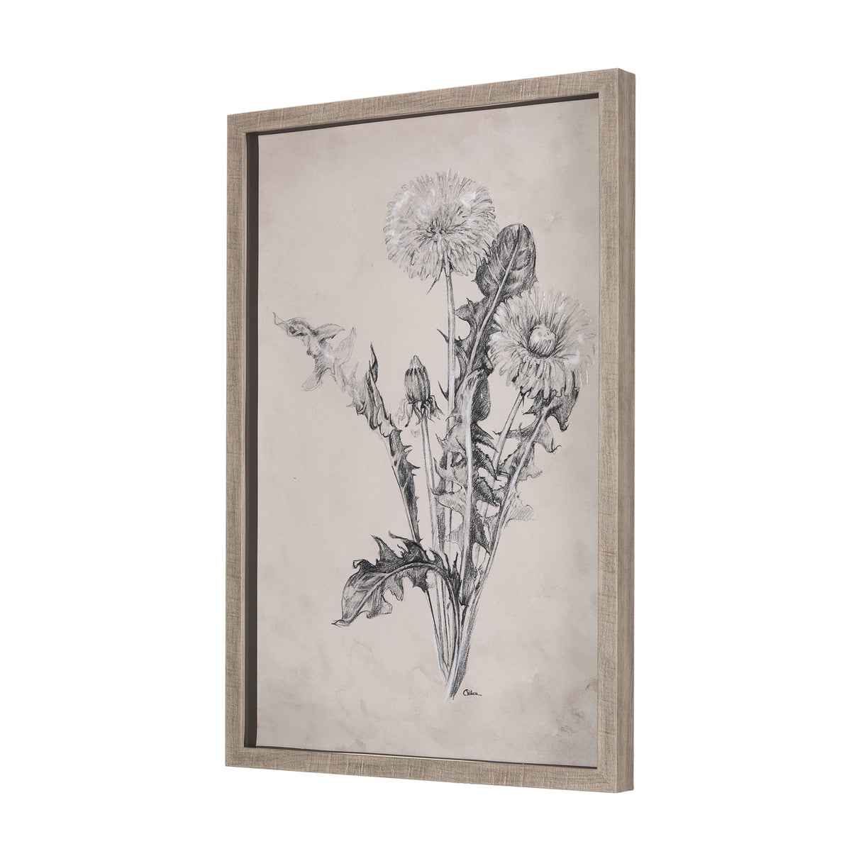 Dandelion Drawing II by Mercana Studio Hand Embellished Textured Framed Art Print Matted under Glass from Mercana - Luna Furniture