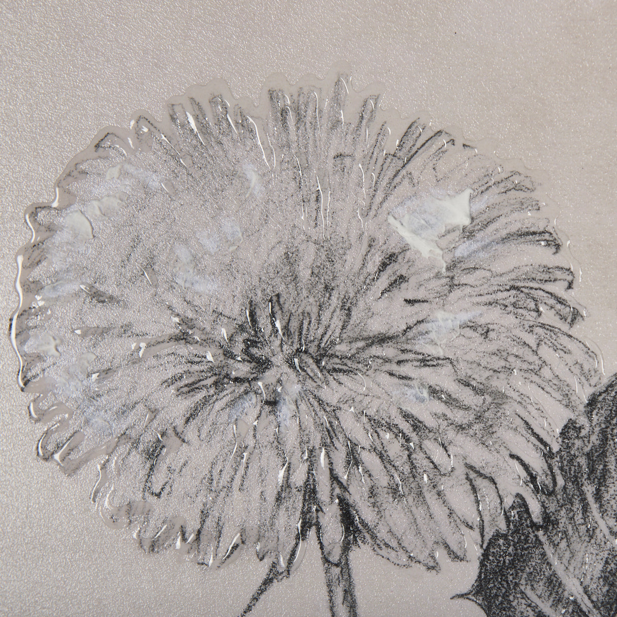 Dandelion Drawing II by Mercana Studio Hand Embellished Textured Framed Art Print Matted under Glass from Mercana - Luna Furniture