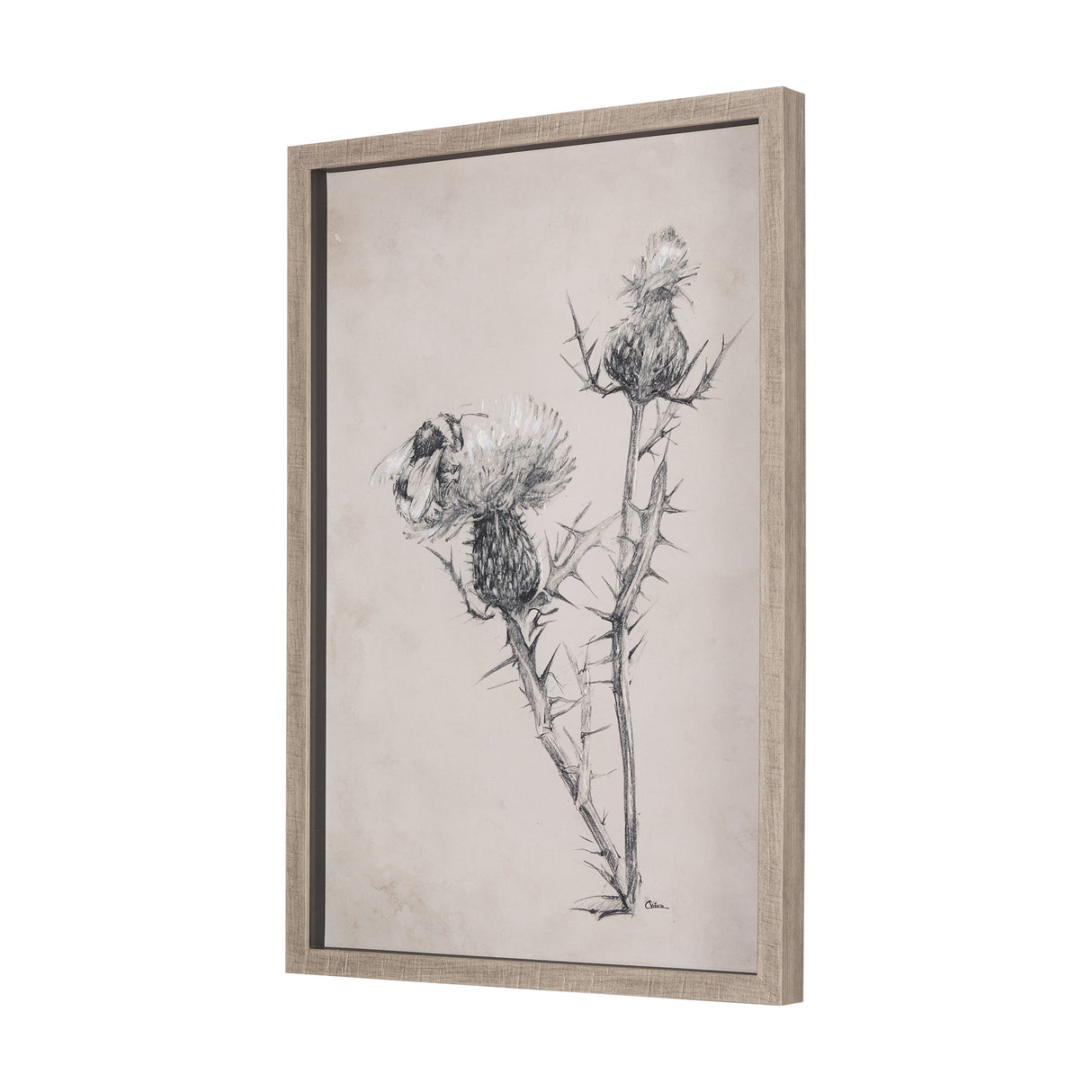 Thistle With Bumblebee Drawing IV Mercana Studio Hand Embellished Framed Art Print Matted under Glas from Mercana - Luna Furniture