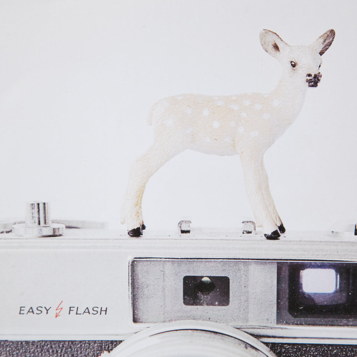 Deer & Vintage Camera by Susannah Tucker Photography a Framed Photo Art Print Matted under Glass from Mercana - Luna Furniture