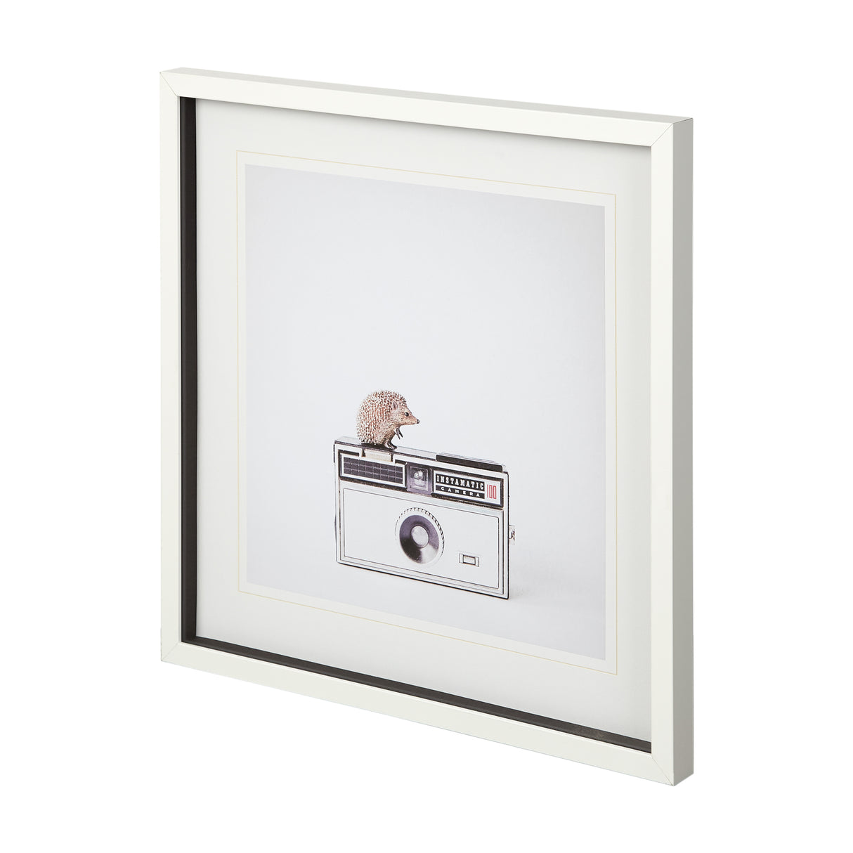Hedgehog & Vintage Camera by Susannah Tucker Photography a Framed Photo Art Print Matted under Glass from Mercana - Luna Furniture