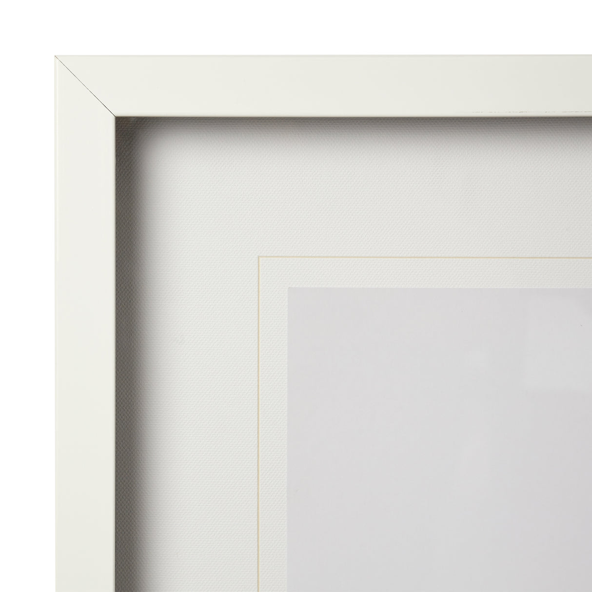 T-rex & Vintage Camera by Susannah Tucker Photography a Framed Photo Art Print Matted under Glass from Mercana - Luna Furniture