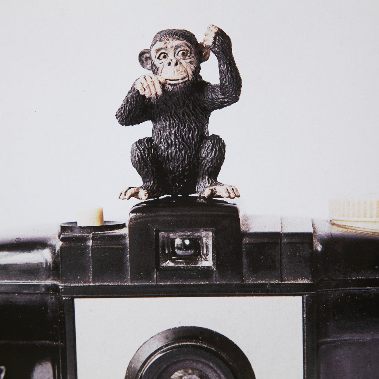 Monkeys & Vintage Camera by Susannah Tucker Photography a Framed Photo Art Print Matted under Glass from Mercana - Luna Furniture