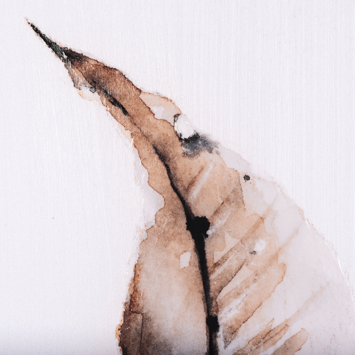Autumn Message III by Mercana Studio a Hand Embellished Textured Framed Art Print from Mercana - Luna Furniture