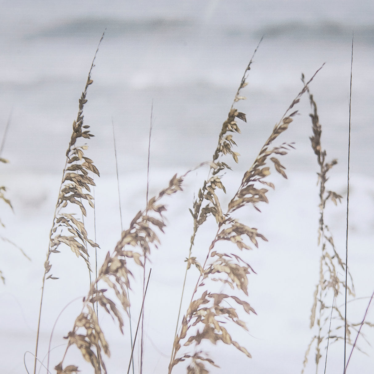 Silver Seagrass by Marlana Semenza a Hand Embellished Textured Framed Photo Art Print Matted under G from Mercana - Luna Furniture