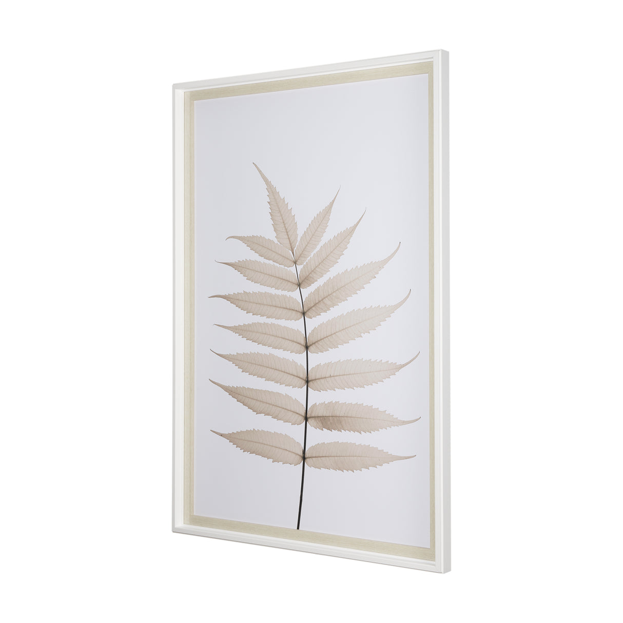 Limber Leaves by Assaf Frank a Framed Art Print Matted under Glass from Mercana - Luna Furniture