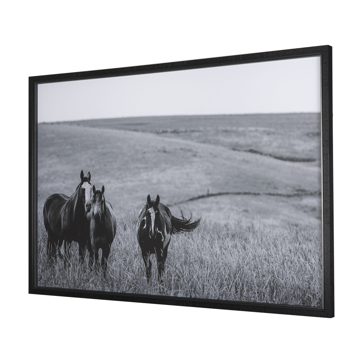 Montana Moves by Mercana Studio a Framed Photo Art Print Matted under Glass from Mercana - Luna Furniture