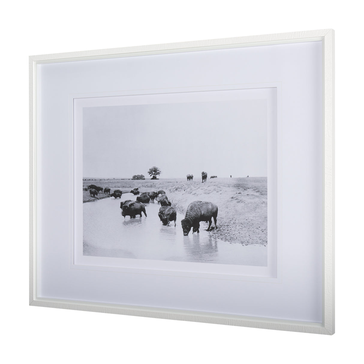 Buffalo Brook by Mercana Studio a Hand Embellished Textured Framed Art Photograph Matted under Glass from Mercana - Luna Furniture