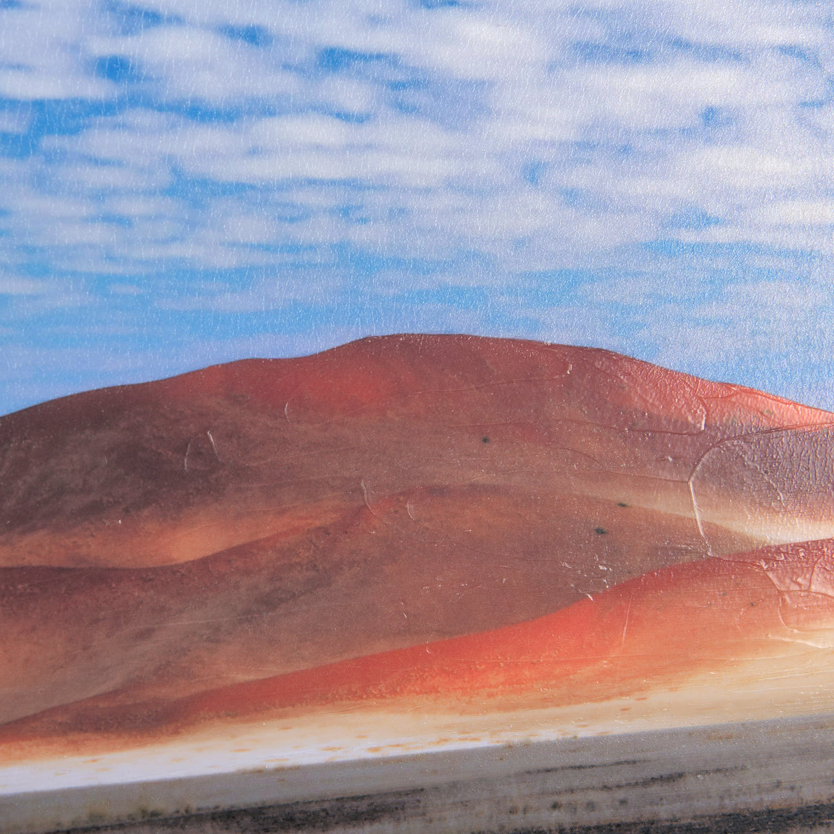 Bold Adventure by Mercana Studio a Hand Embellished Textured Framed Art Photo Matted under Glass from Mercana - Luna Furniture