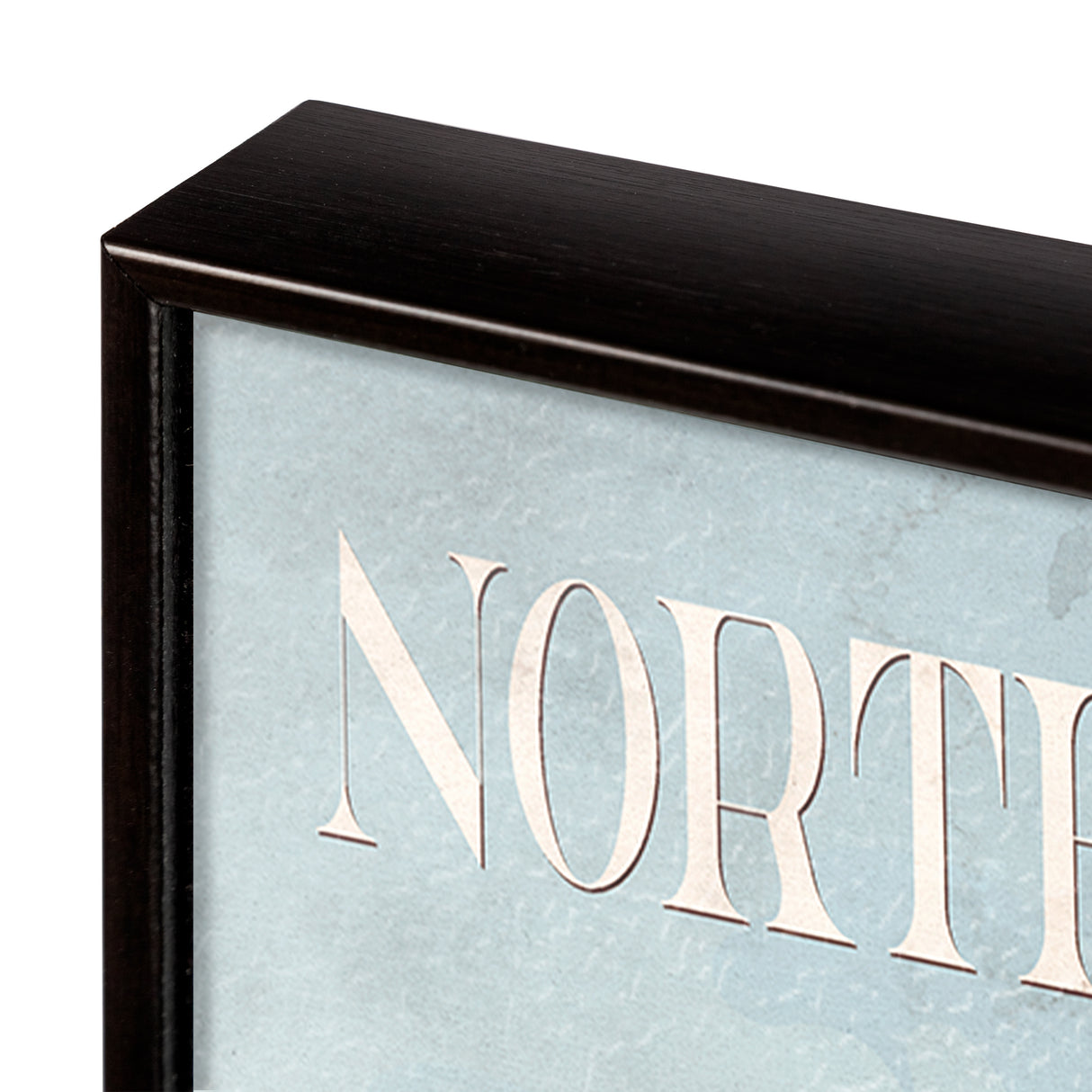 North Carolina by Mercana Studio a Hand Embellished Textured Framed Art Print from Mercana - Luna Furniture