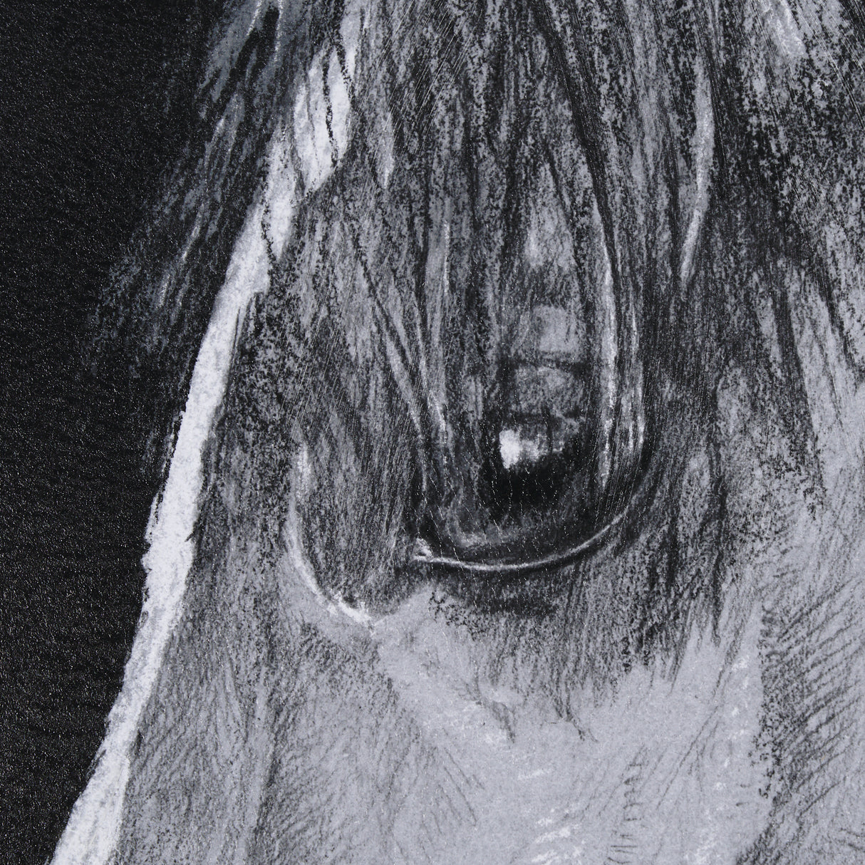 Equestrian Portrait by Mercana Studio Hand Embellished Textured Framed Photo Art Print Matted under from Mercana - Luna Furniture