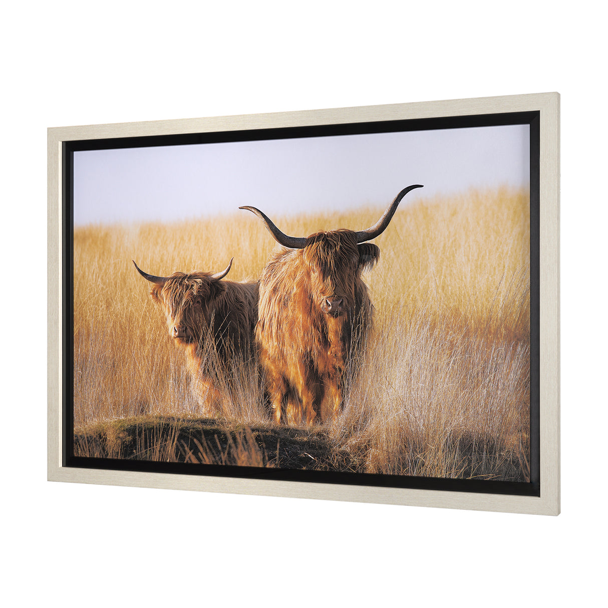 Young and Old Highlander by Mercana Studio Hand Embellished Framed Photo Art Print Matted under Glas from Mercana - Luna Furniture