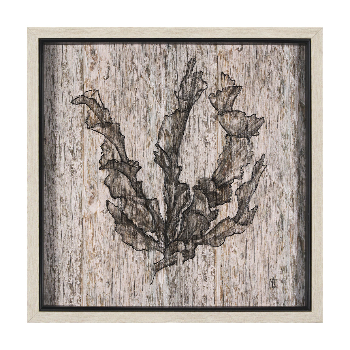 Wood Grain Sea Plant I by Mercana Studio a Hand Embellished Textured Framed Art Print from Mercana - Luna Furniture