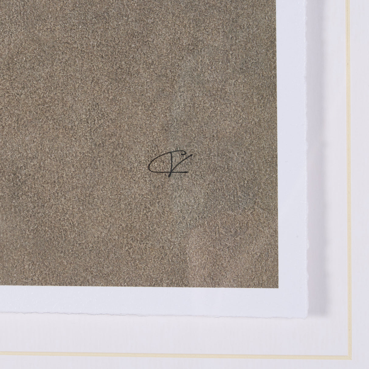 Palomino Blanket by Mercana Studio a Hand Embellished Textured Framed Art Print from Mercana - Luna Furniture