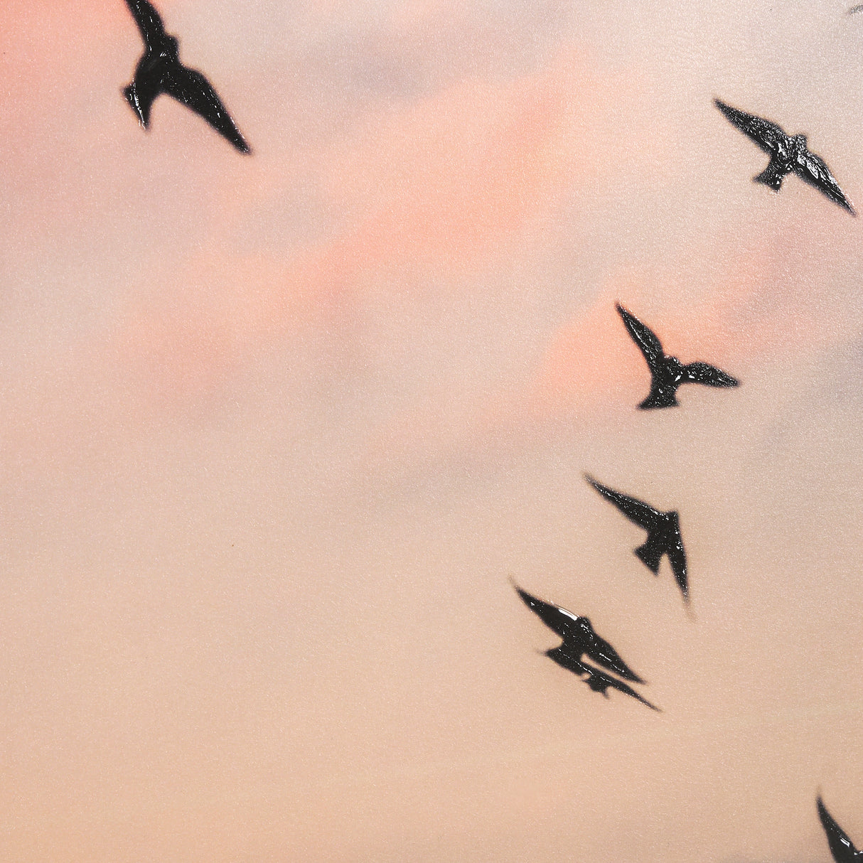 Evening Flight by Mercana Studio a Hand Embellished Textured Framed Photo Art Print Matted under Gla from Mercana - Luna Furniture