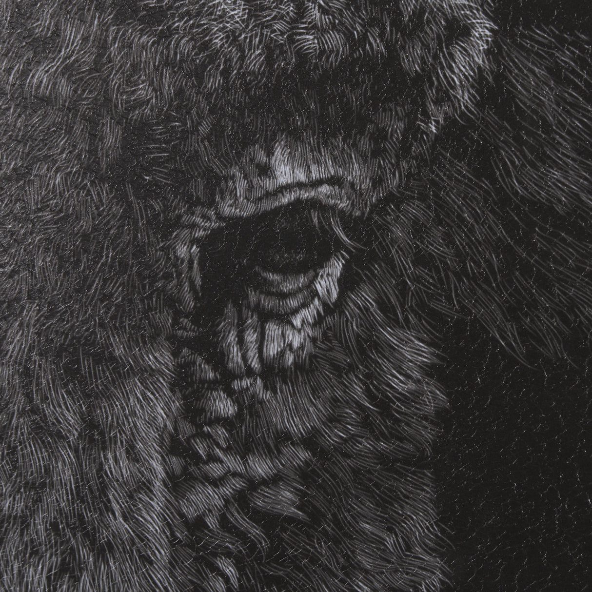 Custom Black Glimpse I by Mercana Studio Hand Embellished Framed Photo Art Print Matted under Glass from Mercana - Luna Furniture