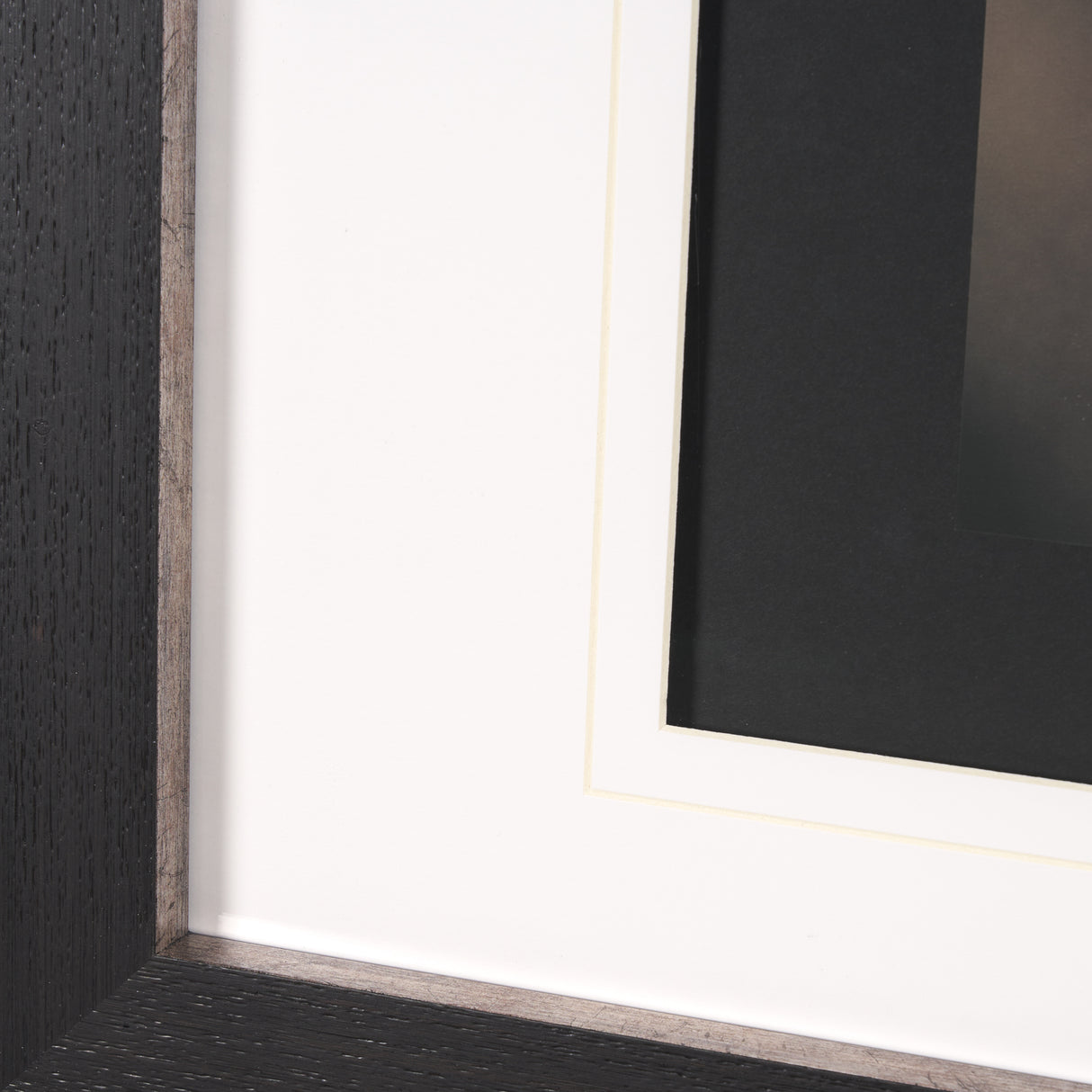 Stare Down by Chad Mackay a Hand Embelished Textured Framed Photo Art Print Matted under Glass from Mercana - Luna Furniture