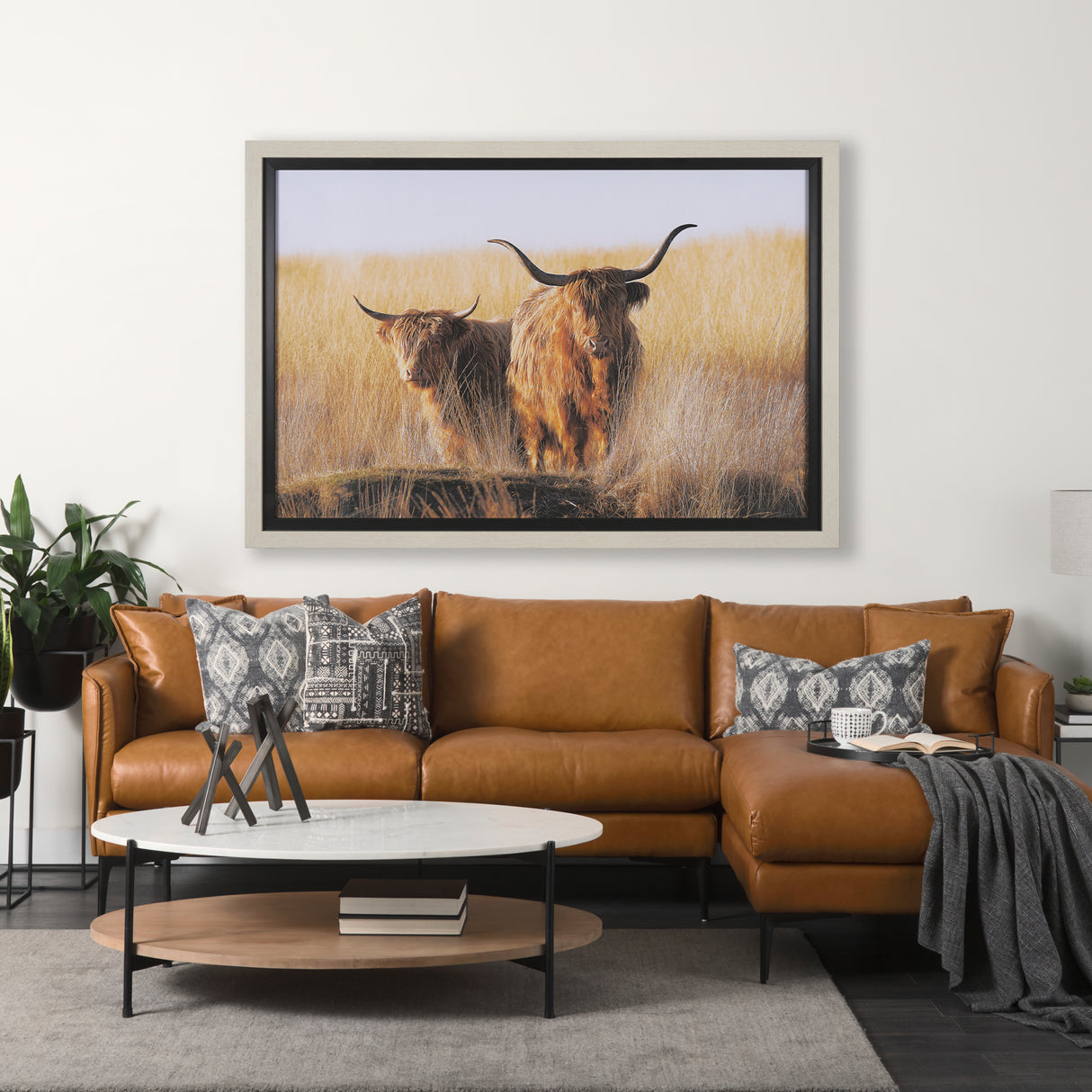 Young and Old Highlander by Mercana Studio Hand Embellished Framed Photo Art Print Matted under Glas from Mercana - Luna Furniture