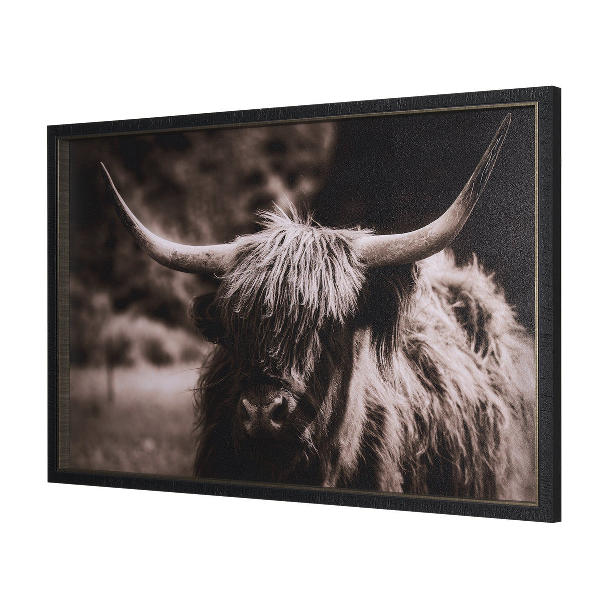 Highland Stare by Chad Mackay a Hand Embellished Textured Framed Photo Art Print from Mercana - Luna Furniture