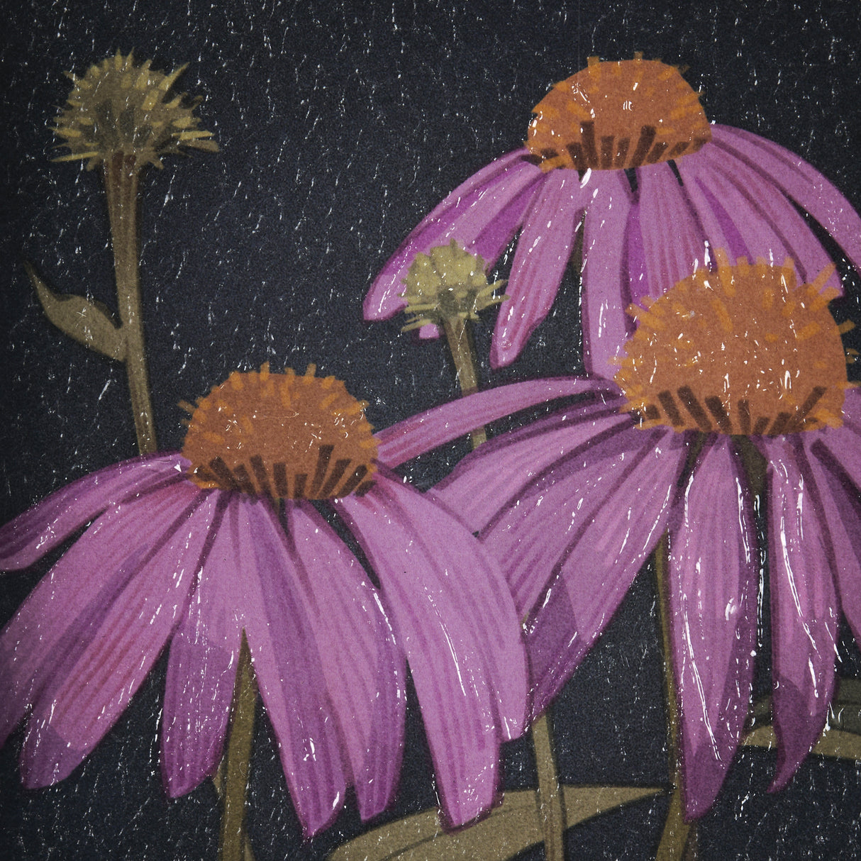 Flower Portrait VI by Mercana Studio a Hand Embellished Textured Framed Art Print Matted under Glass from Mercana - Luna Furniture