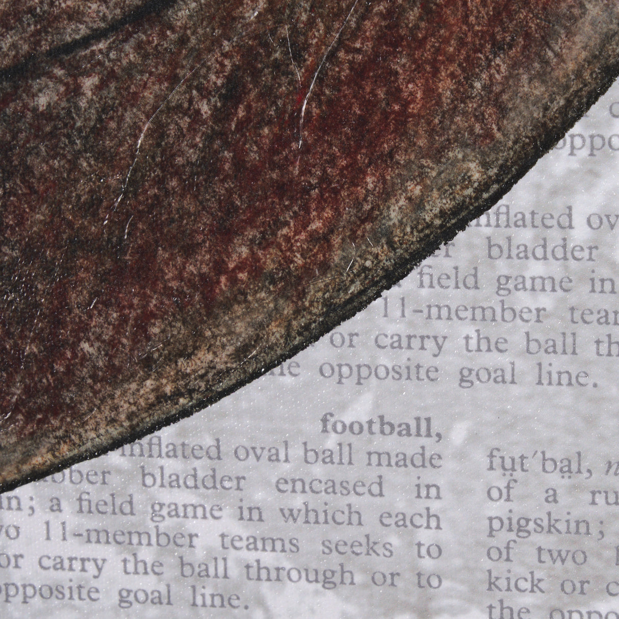 Definition of Sport III by Mercana Studio a Hand Embellished Textured Framed Art Print from Mercana - Luna Furniture