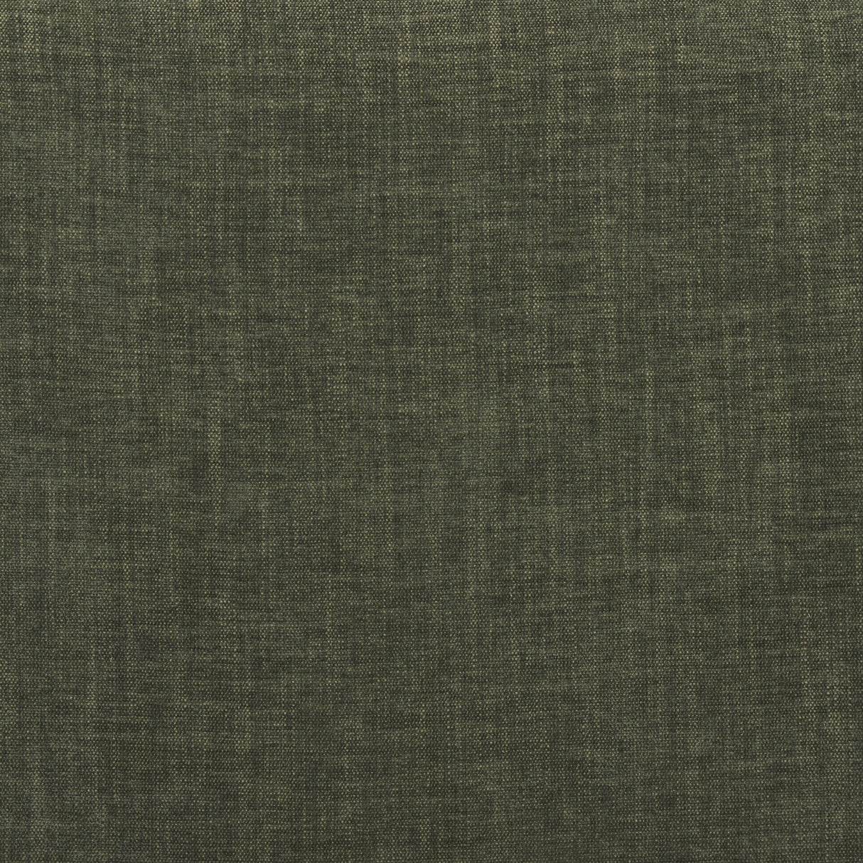 Nora Forest Green Fabric w/ Matte Black Metal Legs Accent Chair from Mercana - Luna Furniture