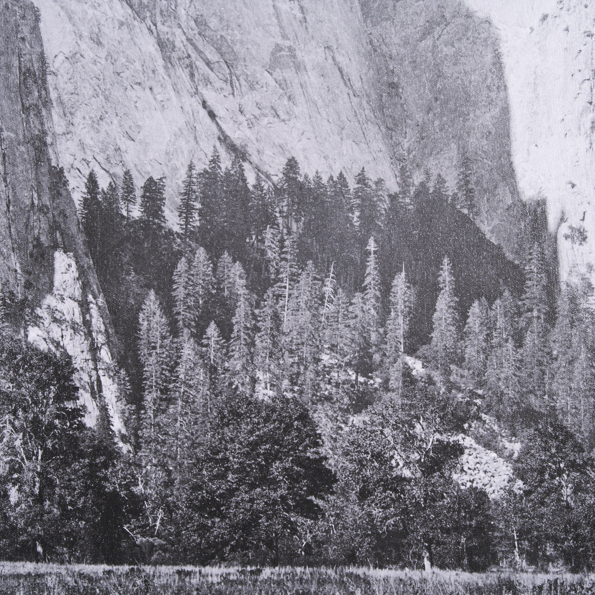 Cathedral Rock by Carleton E Watkins a Hand Embellished Textured Framed Photo Art Print from Mercana - Luna Furniture