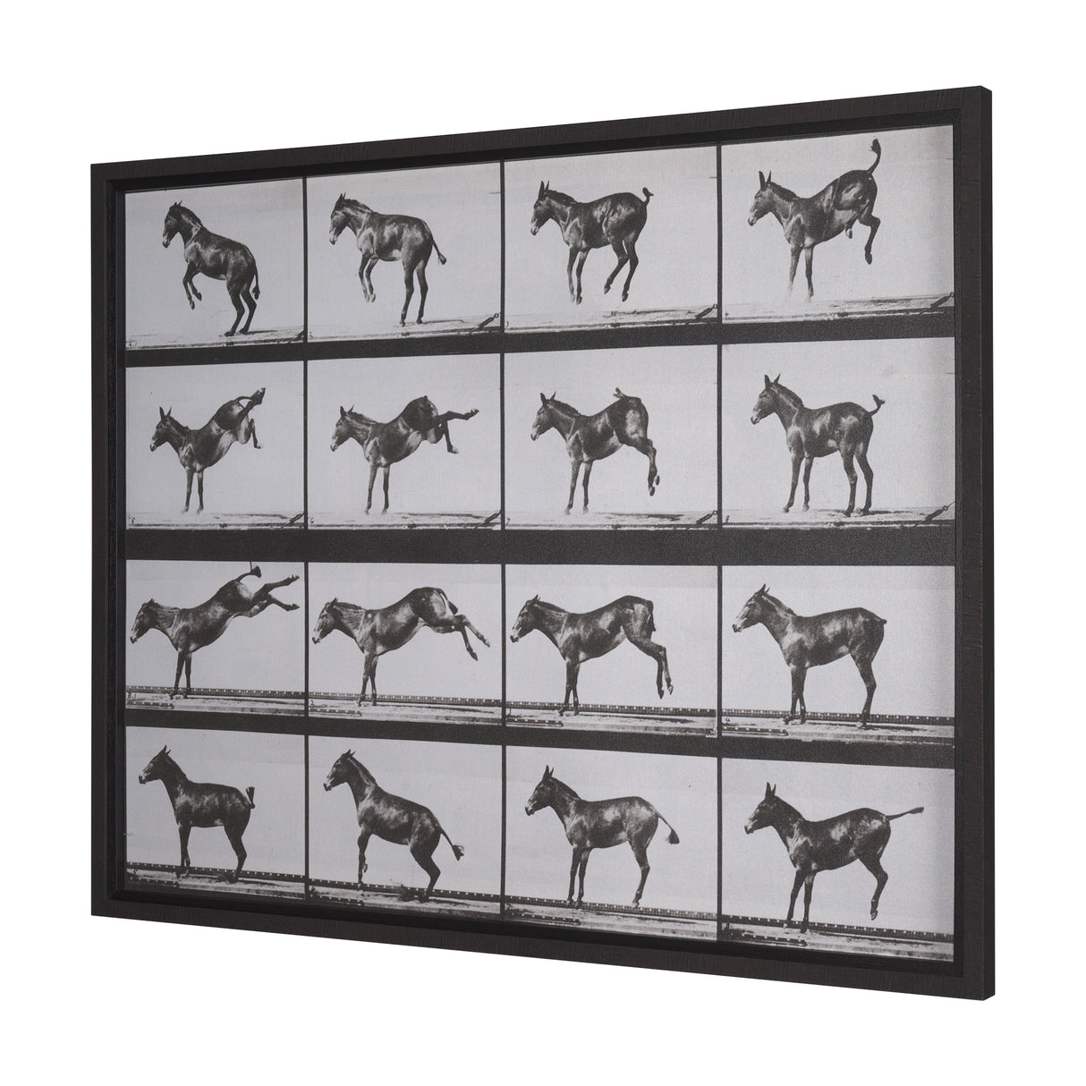 Bucking and Kicking by Eadweard Muybridge Hand Embellished Framed Art Print Matted under Glass from Mercana - Luna Furniture