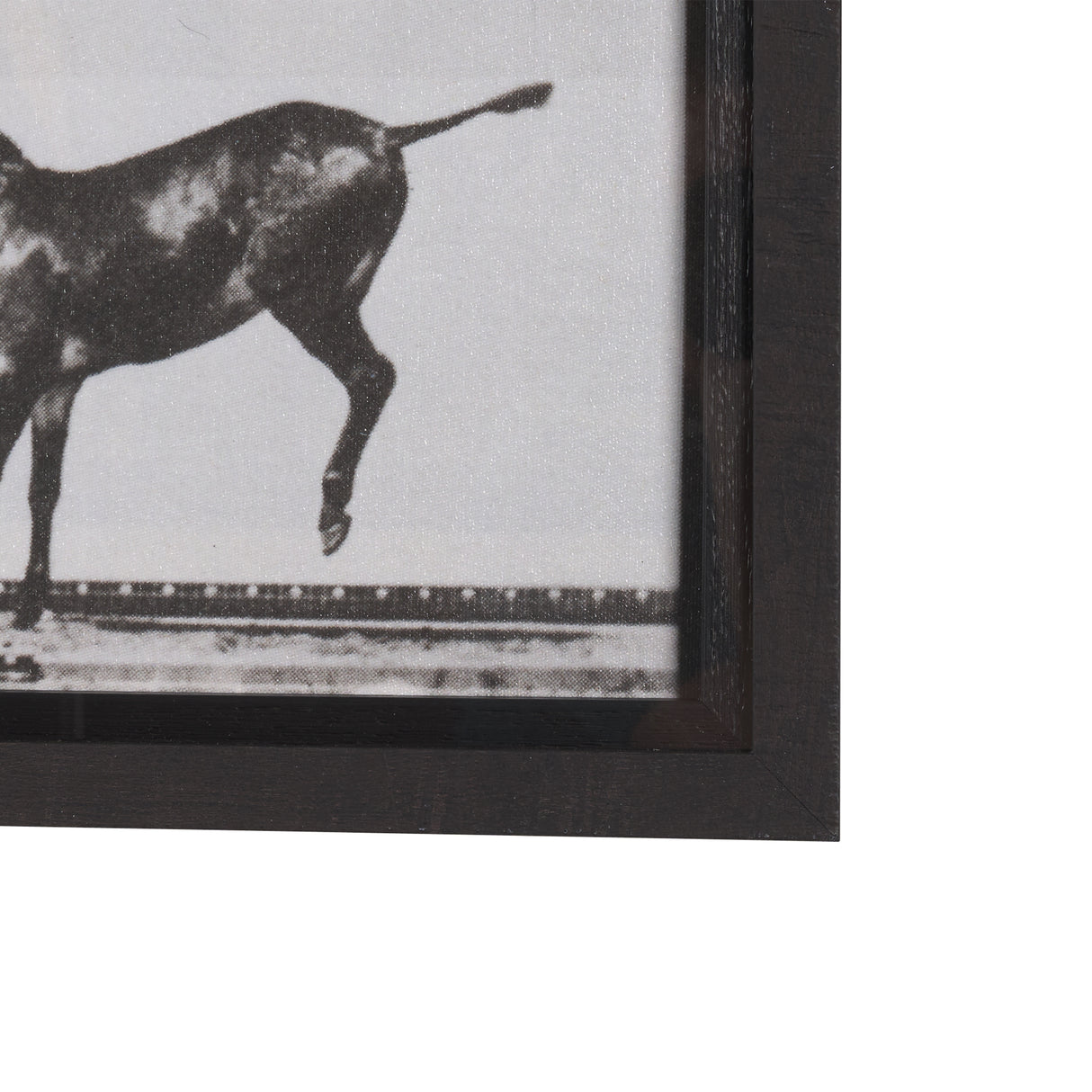 Bucking and Kicking by Eadweard Muybridge Hand Embellished Framed Art Print Matted under Glass from Mercana - Luna Furniture
