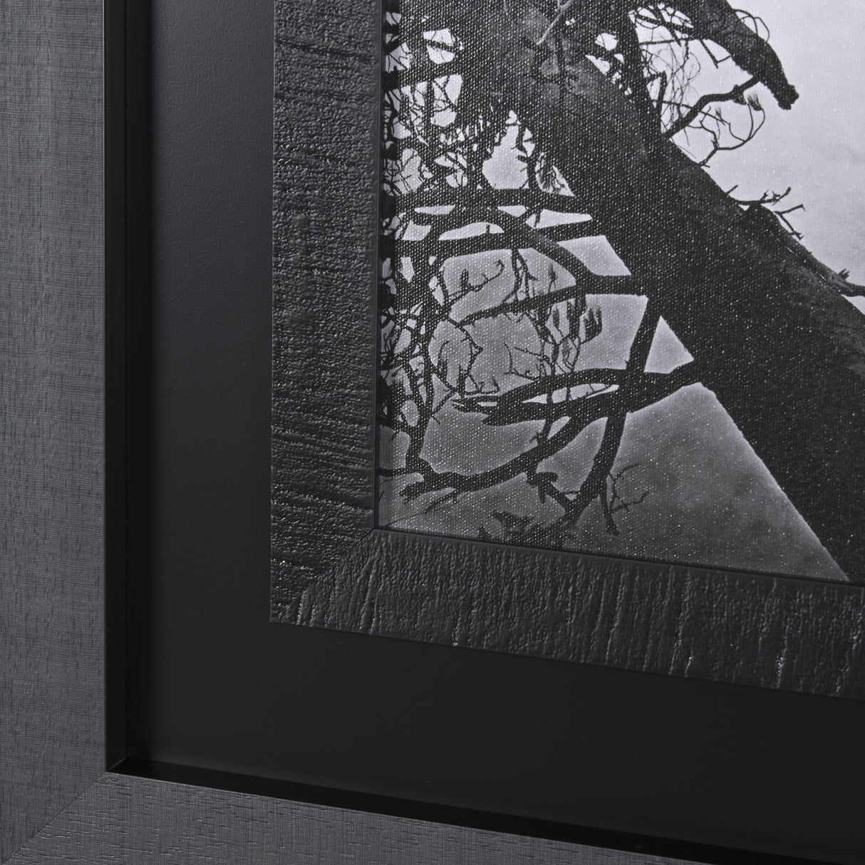 Mirror Lake by Carleton E Watkins a Hand Embellished Textured Framed Photo Art Print from Mercana - Luna Furniture