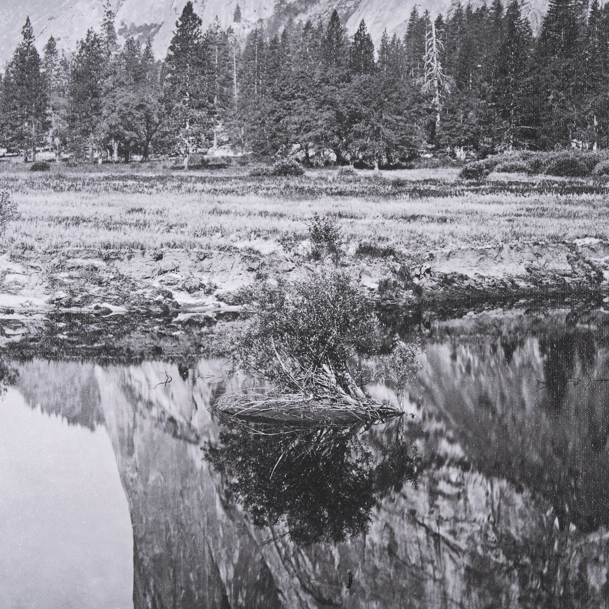 Mirror View by Carleton E Watkins a Hand Embellished Textured Framed Photo Art Print from Mercana - Luna Furniture