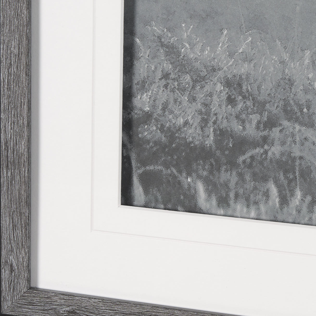 Quiet Morning by Matt Roseveare a Framed Photo Art Print Matted under Glass from Mercana - Luna Furniture