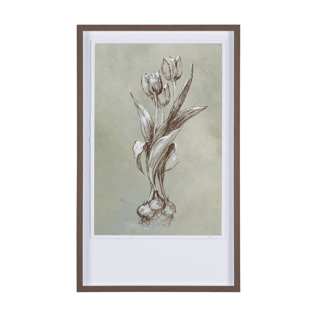 Botanical Sketch I (green) by Mercana Studio Hand Embellished Framed Art Print Matted under Glass from Mercana - Luna Furniture