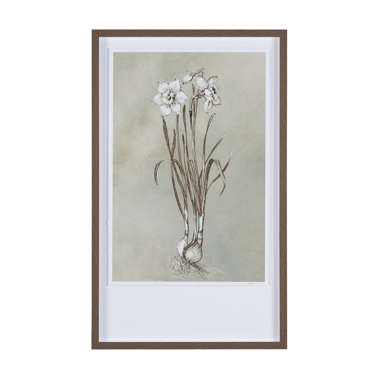 Botanical Sketch II (green) by Mercana Studio Hand Embellished Framed Art Print Matted under Glass from Mercana - Luna Furniture
