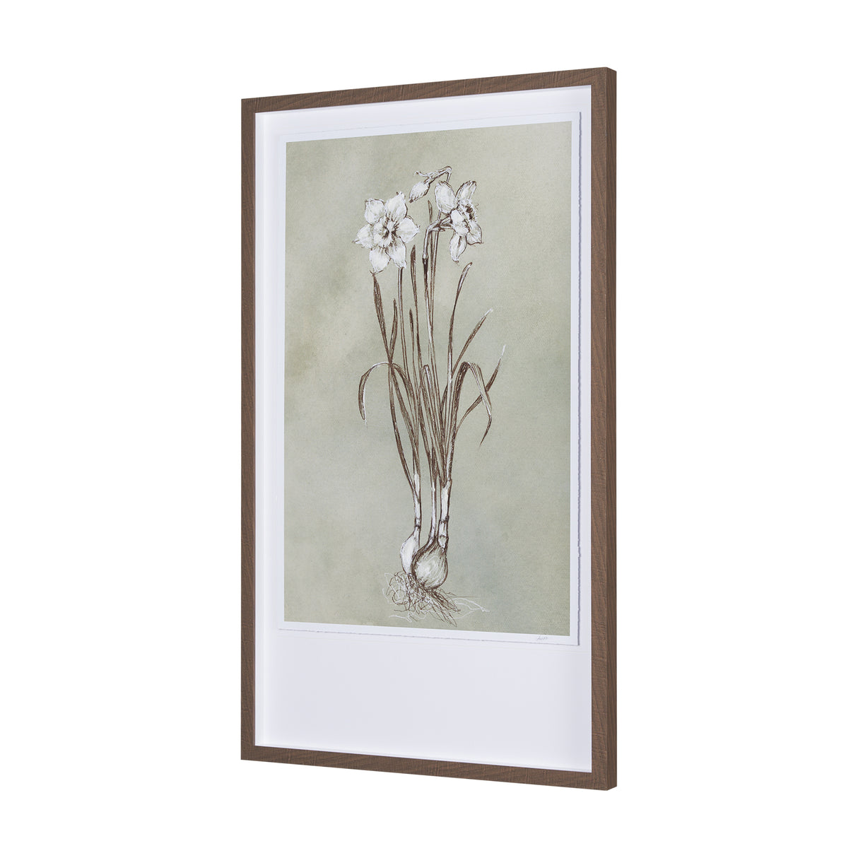 Botanical Sketch II (green) by Mercana Studio Hand Embellished Framed Art Print Matted under Glass from Mercana - Luna Furniture