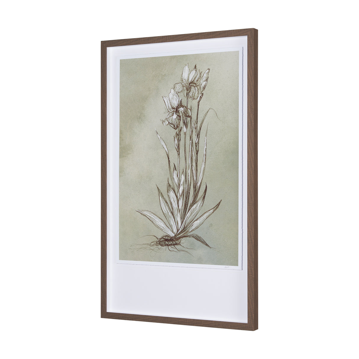 Botanical Sketch IV (green) by Mercana Studio Hand Embellished Framed Art Print Matted under Glass from Mercana - Luna Furniture