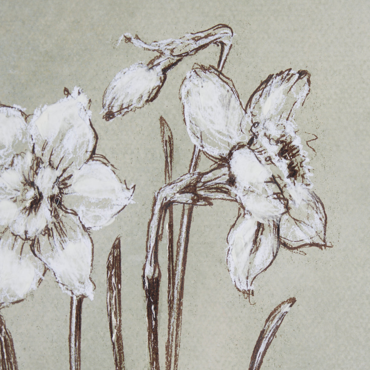 Botanical Sketch IV (green) by Mercana Studio Hand Embellished Framed Art Print Matted under Glass from Mercana - Luna Furniture