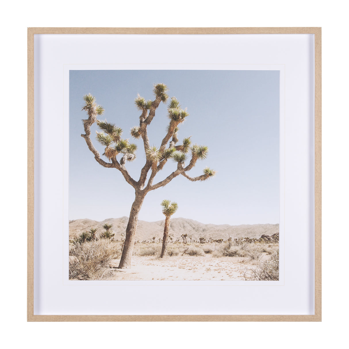 Joshua Tree 1 by THE Studio a Framed Photo Art Print Matted under Glass from Mercana - Luna Furniture