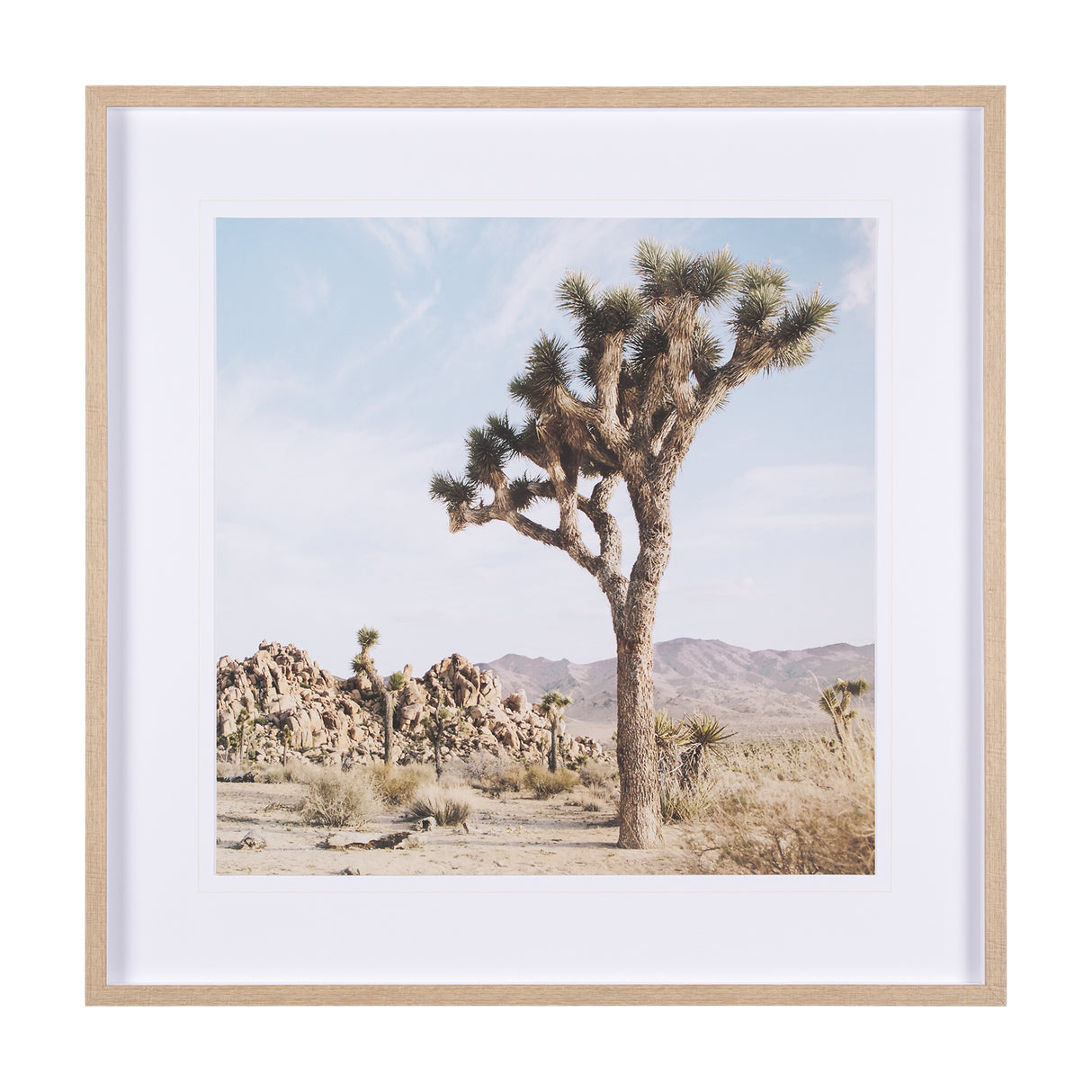 Joshua Tree 3 by THE Studio a Framed Photo Art Print Matted under Glass from Mercana - Luna Furniture